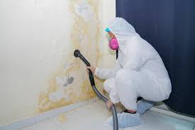 Mold Documentation for Insurance Claims in Woodmere, LA